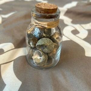 Beach shells decorative jar